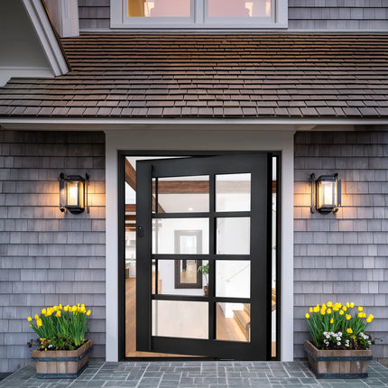 EliteCustomDoor Thermal Break Iron Entry Pivot Door with Different Glass P-T104