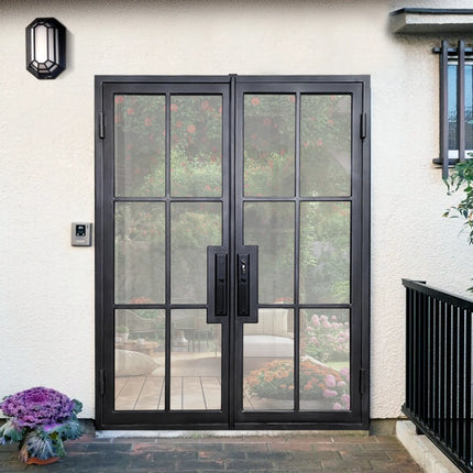 Elite Custom Wrought Iron Double French Door with 6 lites and Glass