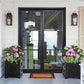 Elite Customized Iron French Double Door with 3 Lites and Glass F-S109