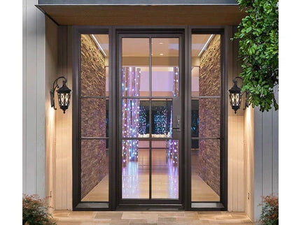 Elite High Quality Iron French Single Door with Two Sidelites F-S111
