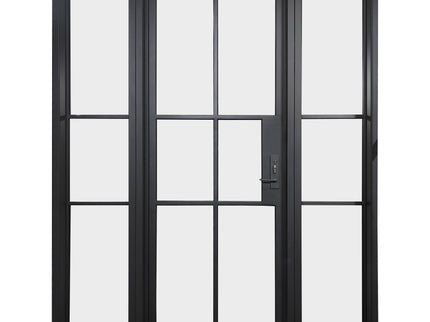 Elite High Quality Single Iron French Door with Sidelights