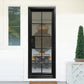 Simple Iron French Single Door With 10lites And Smart Lock