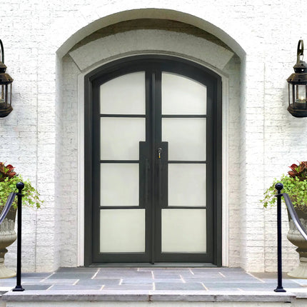 Elite Themal break double iron french door with frosted glass F-T119
