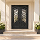 Elite Thermal Break Double Iron Front Door with Matte Black and Rain Storm Glass E-T131