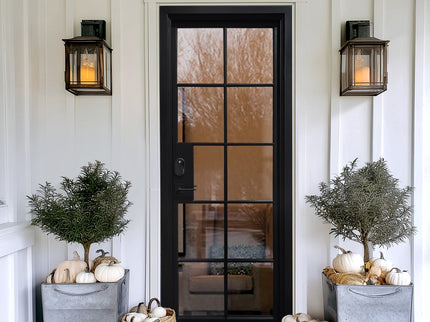 Elite Thermal Break Iron French Single Door with 10 Lites Tempered Glass F-T102
