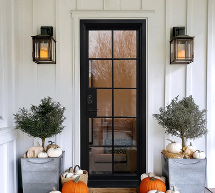 Elite Thermal Break Iron French Single Door with 10 Lites Tempered Glass F-T102