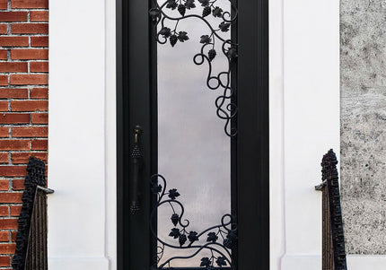 Elite Wrough Iron single entry door with matt black color and glass E-S110