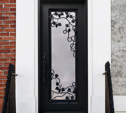 Elite Wrought Iron single entry door with matt black color and glass E-S110