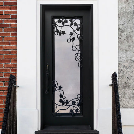 Elite Wrought Iron single entry door with matt black color and glass E-S110