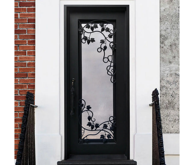 Elite Wrought Iron single entry door with matt black color and glass E-S110
