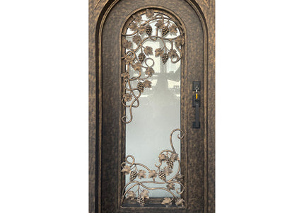 Elite Wrought Iron Single Front Door With Glass and Scrollwork 