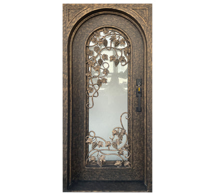 Elite Wrought Iron Single Front Door With Glass and Scrollwork 