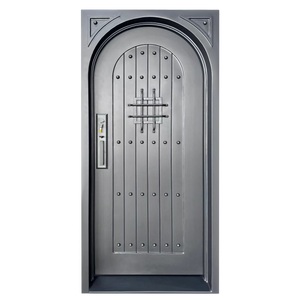 Elite Standard Iron Single Door High Security No Glass E-S101